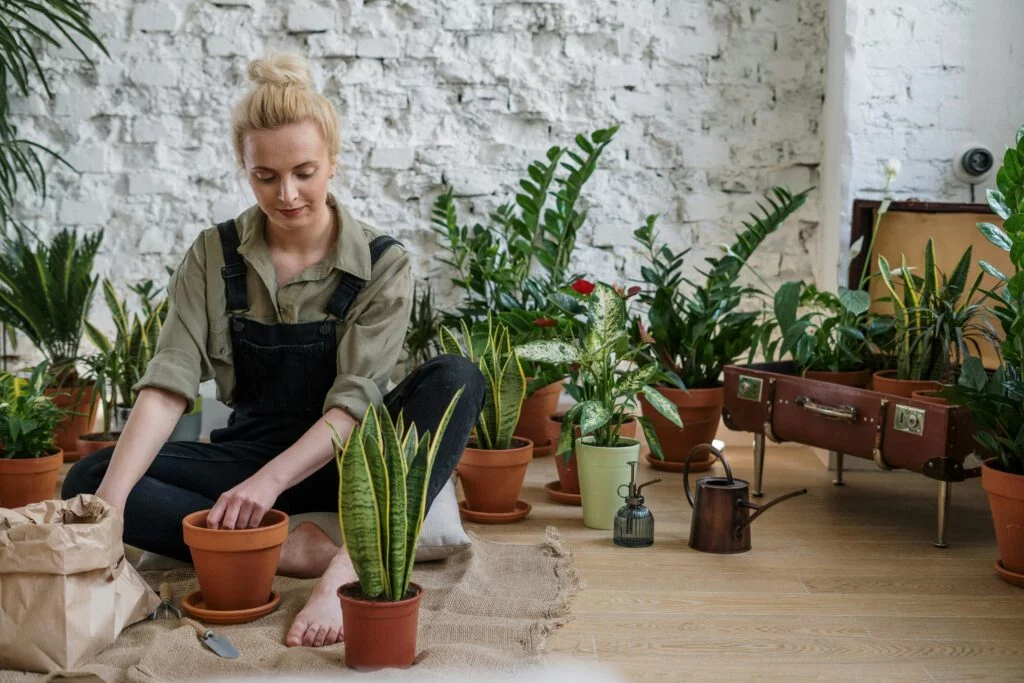Garden Installation