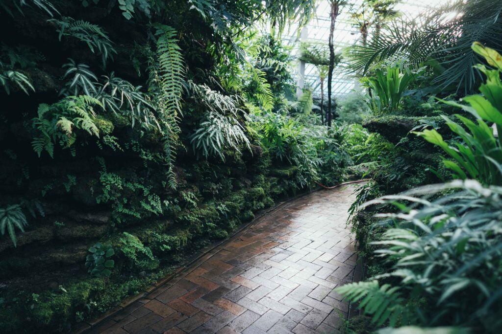 tips for new Gardeners