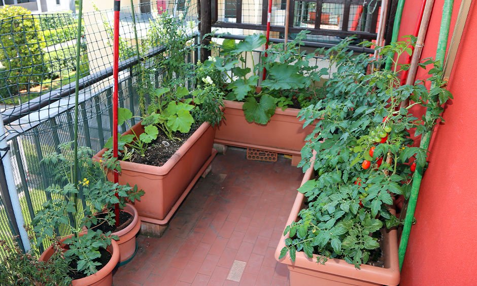 Organic Gardening