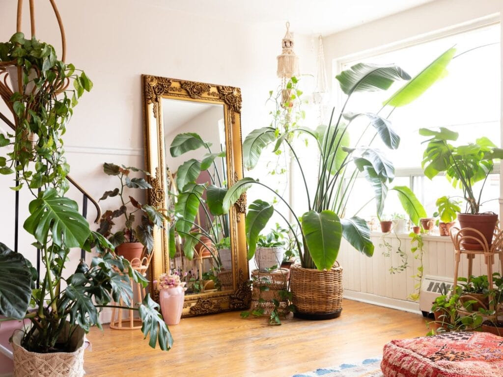 Transform Your Home into a Green Paradise