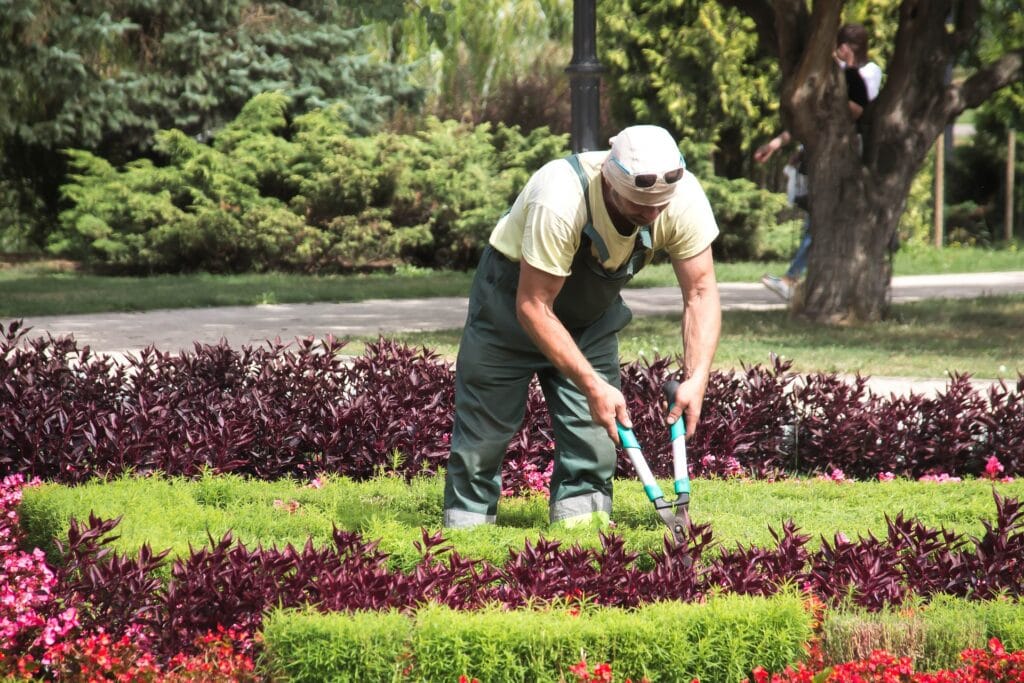 Expert Landscaping Services