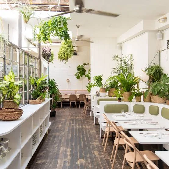 Plants in restaurant, school